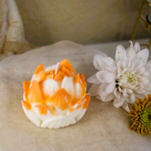 Lotus-Lemongrass,Lime,Ginger