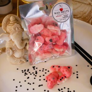 Skull Mini's-Watermelon