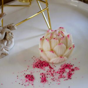 Lotus - Cotton Candy, Vanilla