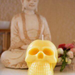 Skull Candle - Fig Leave & Magnolia