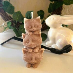 Stacked Kittens-Beechwood&Oakmoss