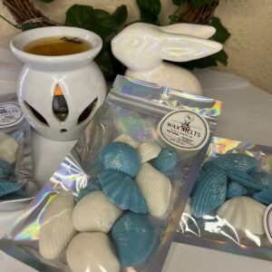 Sea Shells-Clear Water